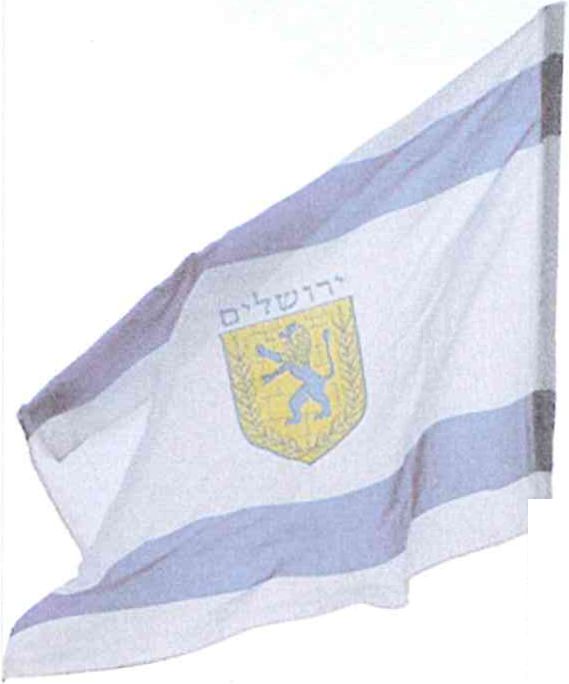 (בספר תמונה של דגל העיר ירושלים)